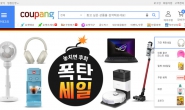 Korean Shopping Website: Coupang